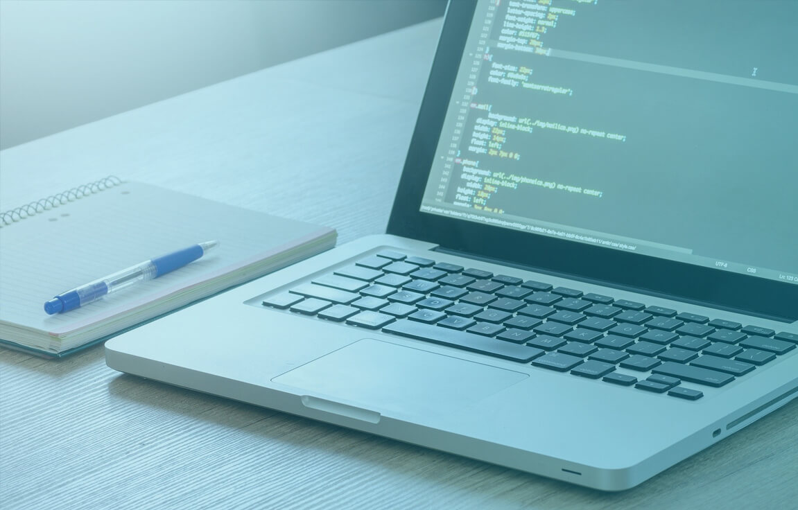 Ideobiz Solutions Web Development
