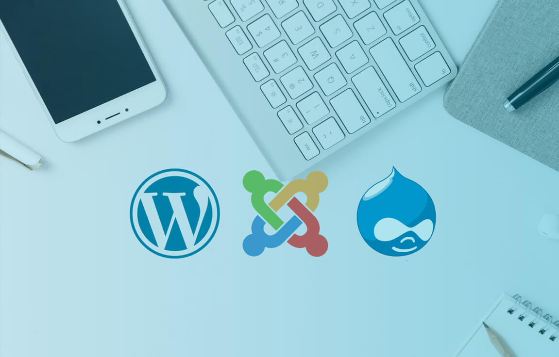 Ideobiz Solutions Wordpress/Joomla Website Design